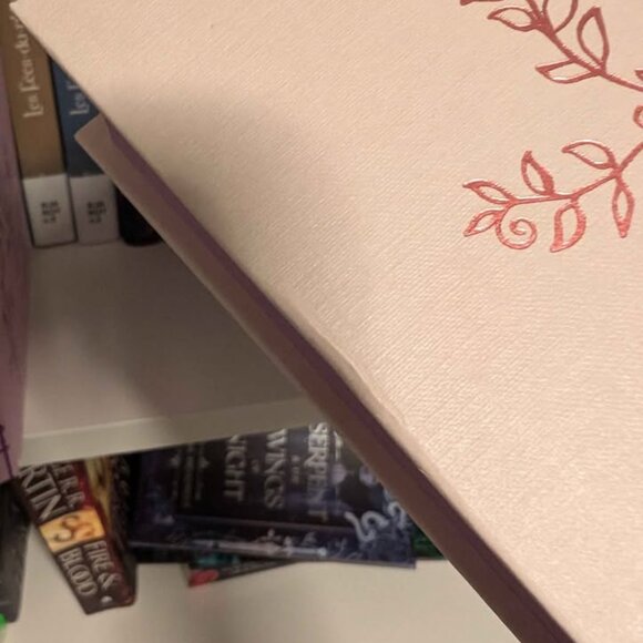 Half Bridgerton Girls Illumicrate set - Picture 5 of 10